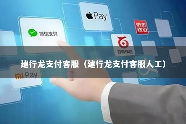 建行龙支付客服(建行龙支付客服人工)